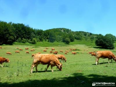 Sierra Toloño,Rioja Alavesa; pueblos serrania de ronda canto cochino la pedriza toledo rutas